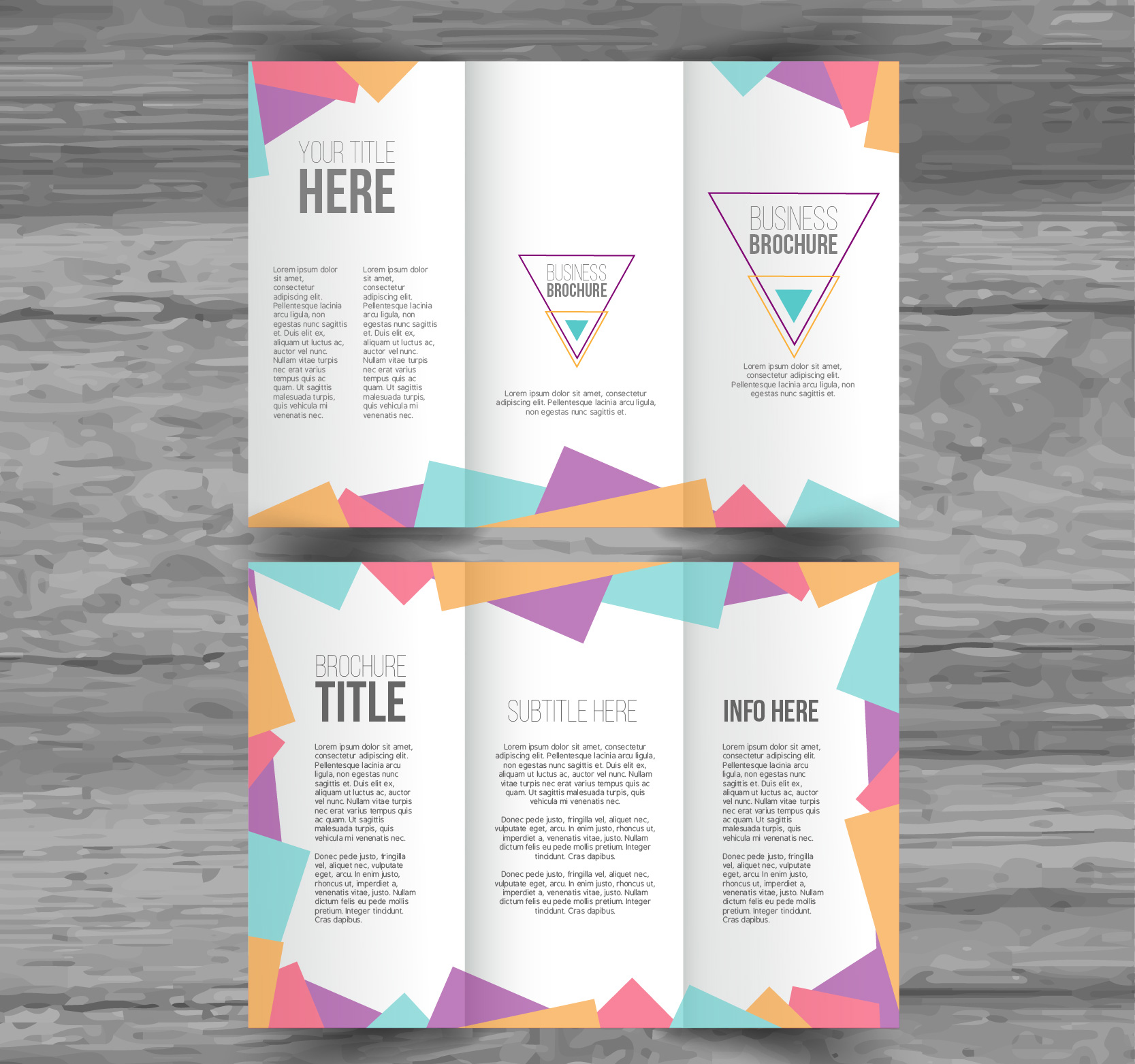 国外三折页设计欣赏