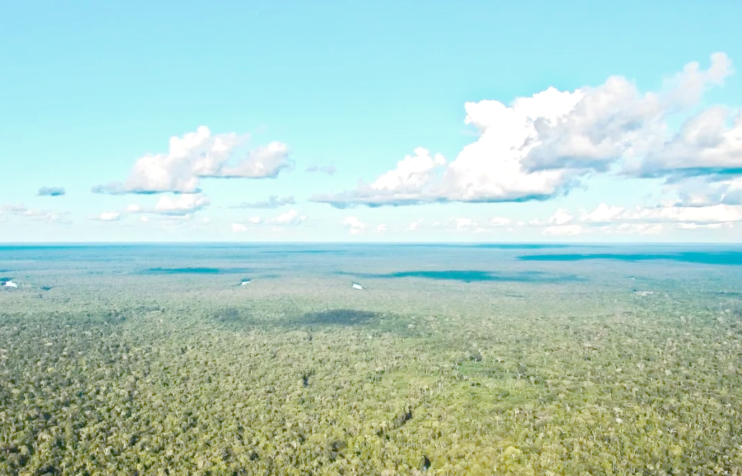 亚马孙平原:世界上面积最大的平原?