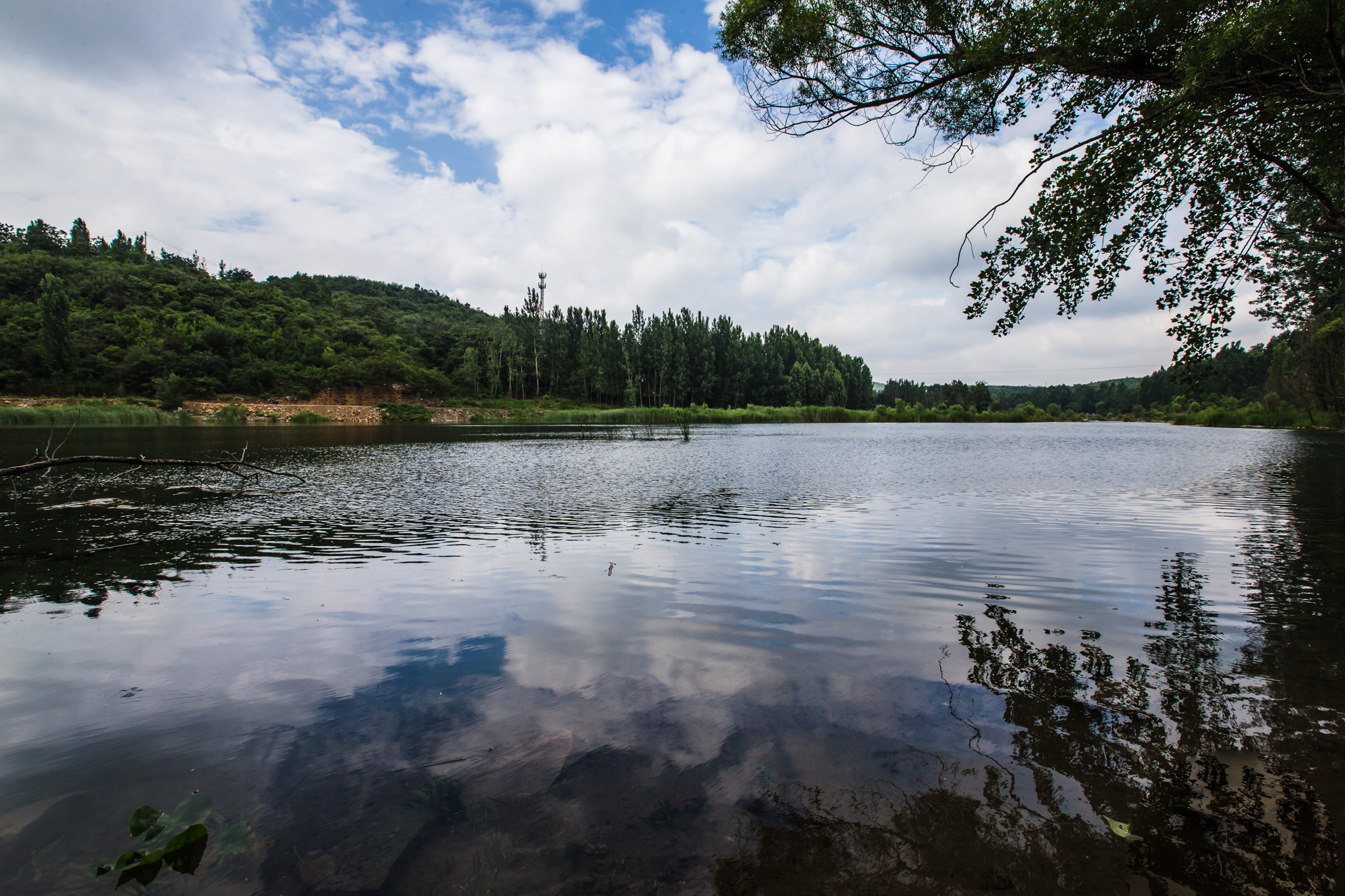 「原创」清凉淇河边