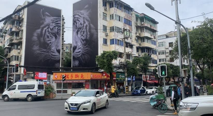 快来成都玉林西路邂逅视觉艺术 法国摄影师街头摄影艺术作品展暨中法