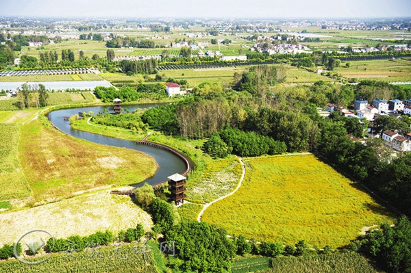 临泉县滑集镇:打出基层组织振兴组合拳