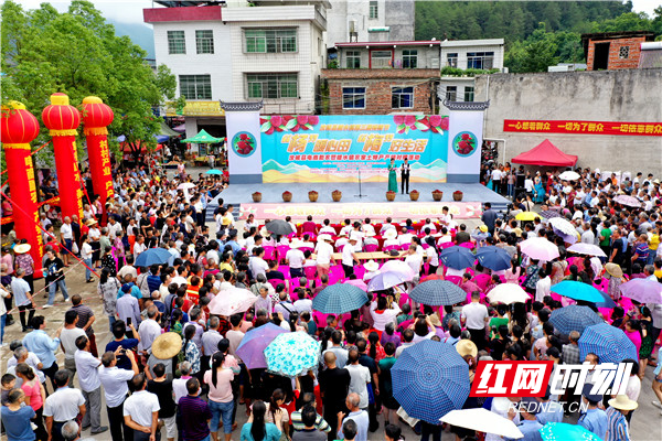 "杨"暖心田 "梅"好生活 汝城县暖水镇举办第三届杨梅节