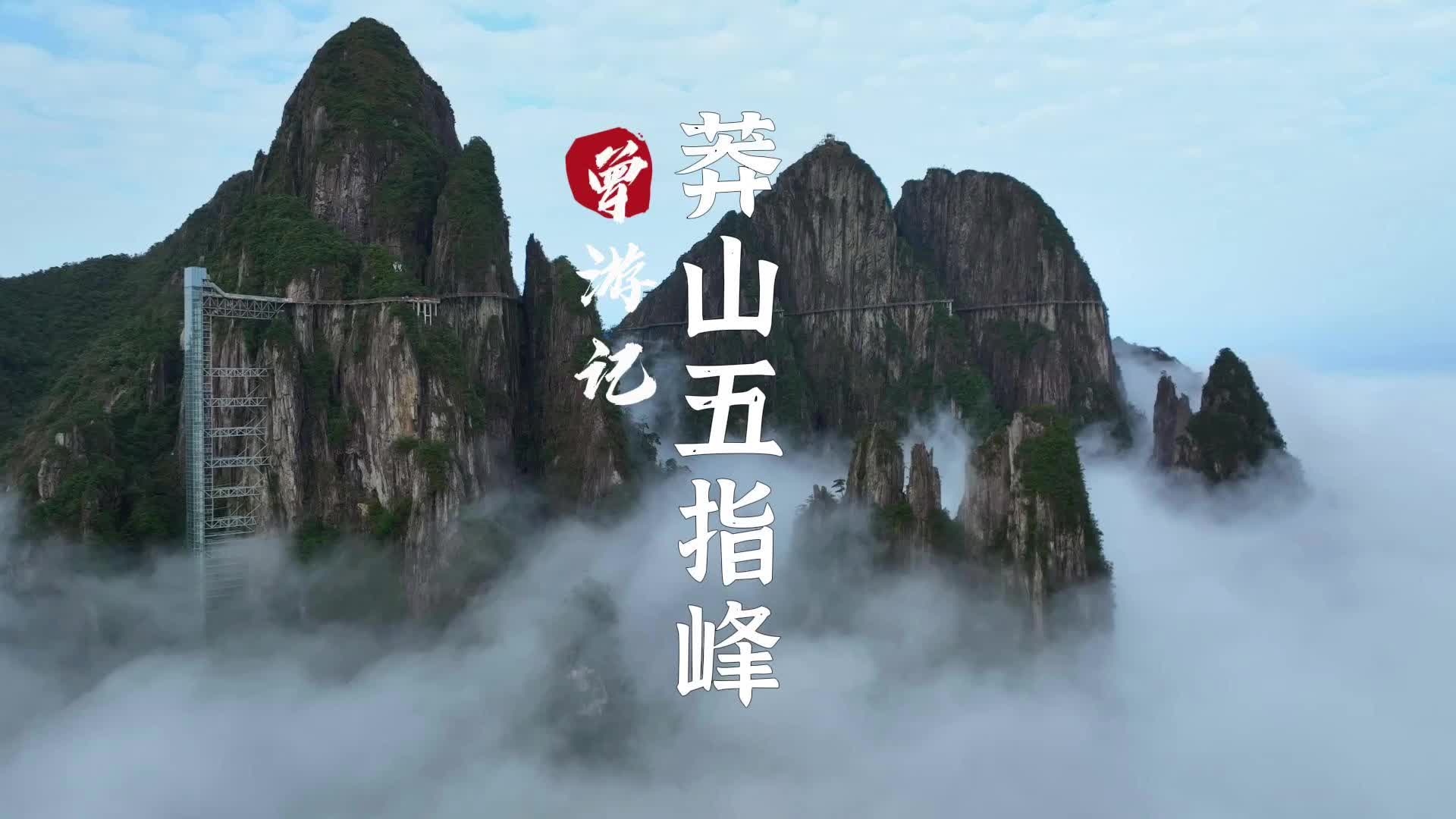 曾游记|莽山五指峰