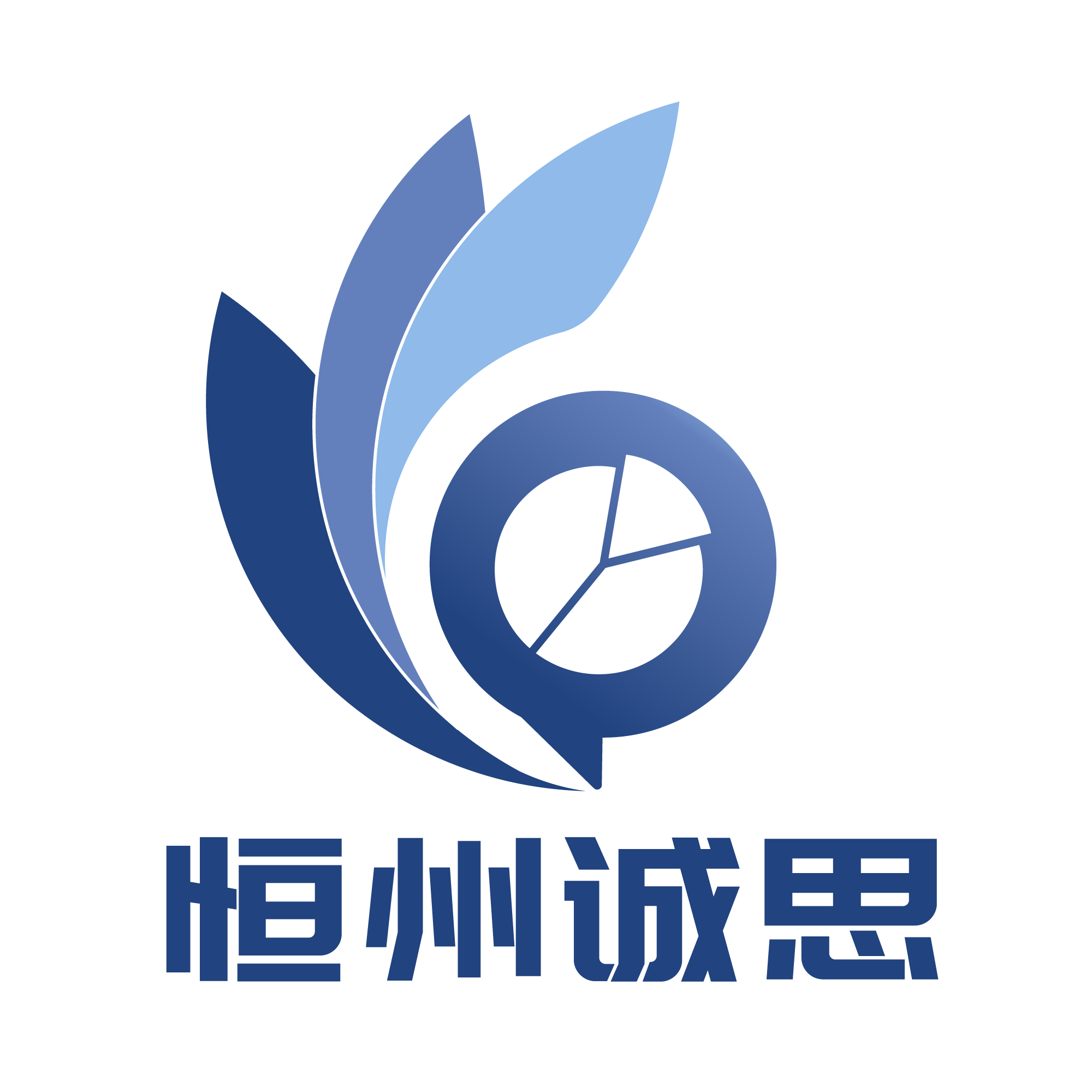 恒州诚思yh信息咨询