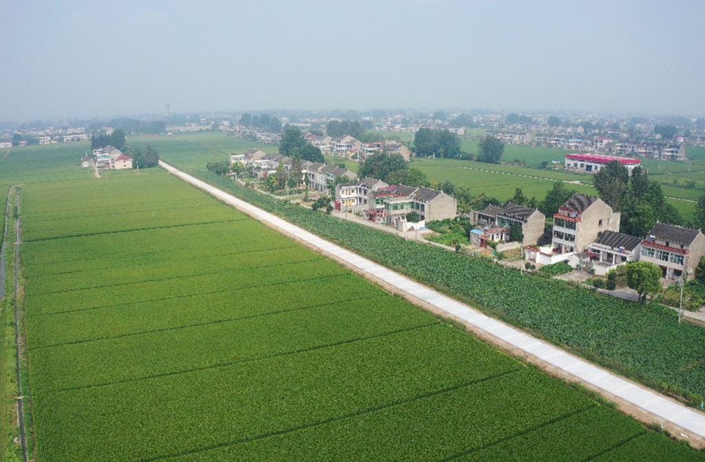 我为群众办实事|靖江市生祠镇:为民修路纾解出行难