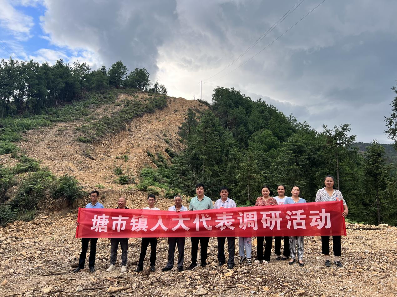桂阳县塘市镇人大代表聚焦民生实事项目优化营商环境
