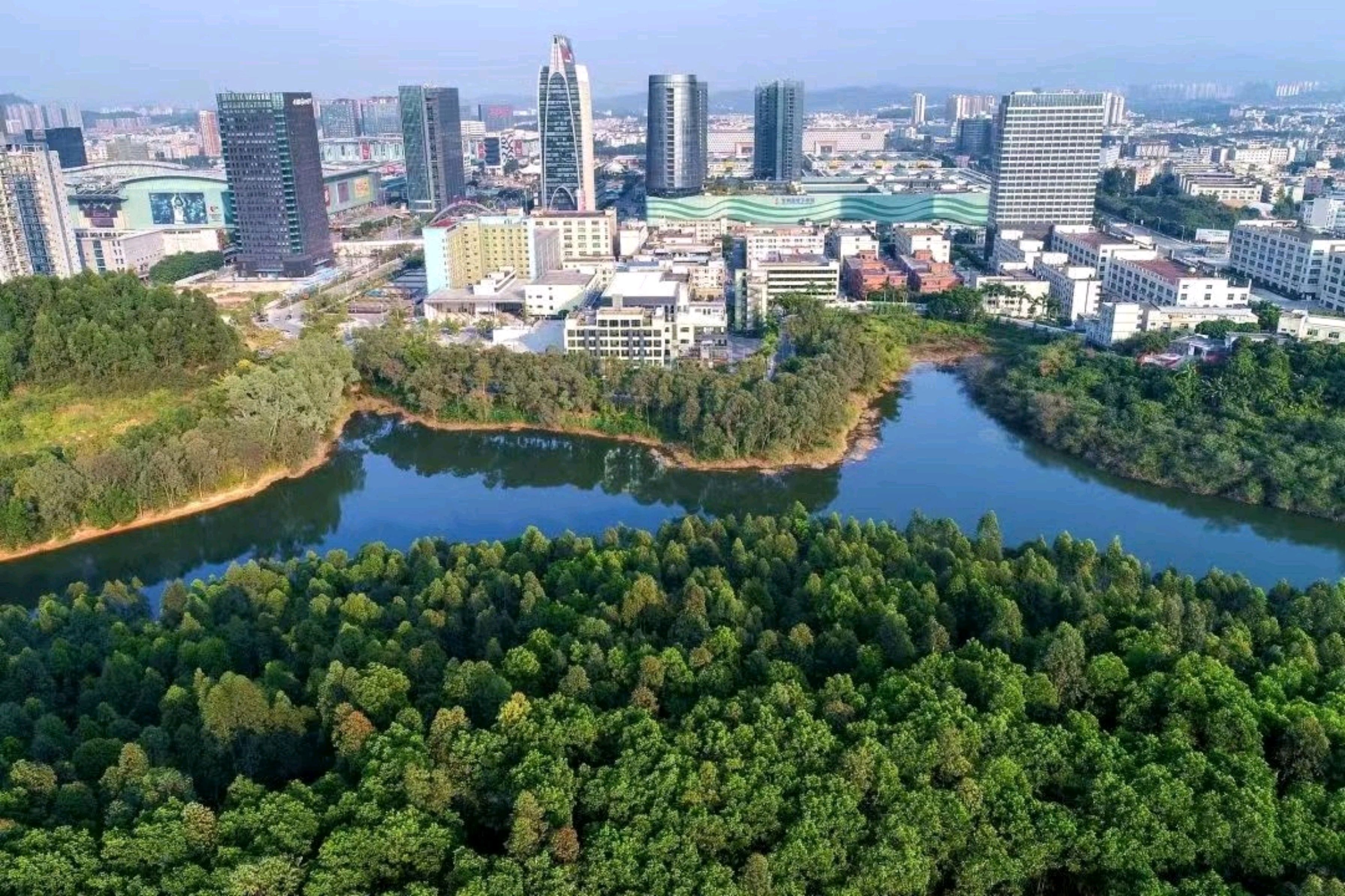 平湖市当湖街道图片