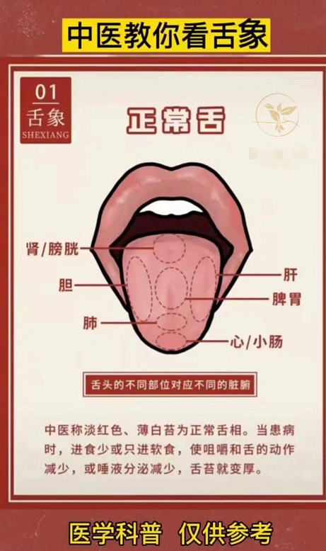 退休老中医:教你如何看舌象(图解),辨别自己的体质,一目了然