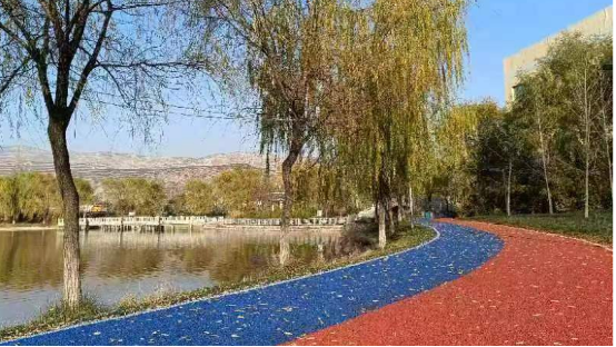 武山县鸳鸯湖公园全民健身步道正式投入使用