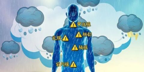 如何使身体变得轻盈