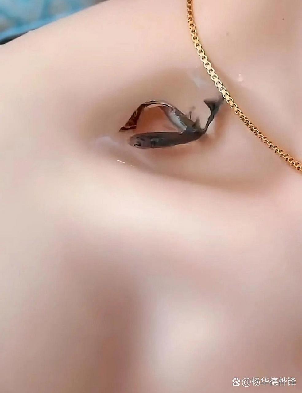 漂亮的女人,锁骨都是能养金鱼的[三哈]