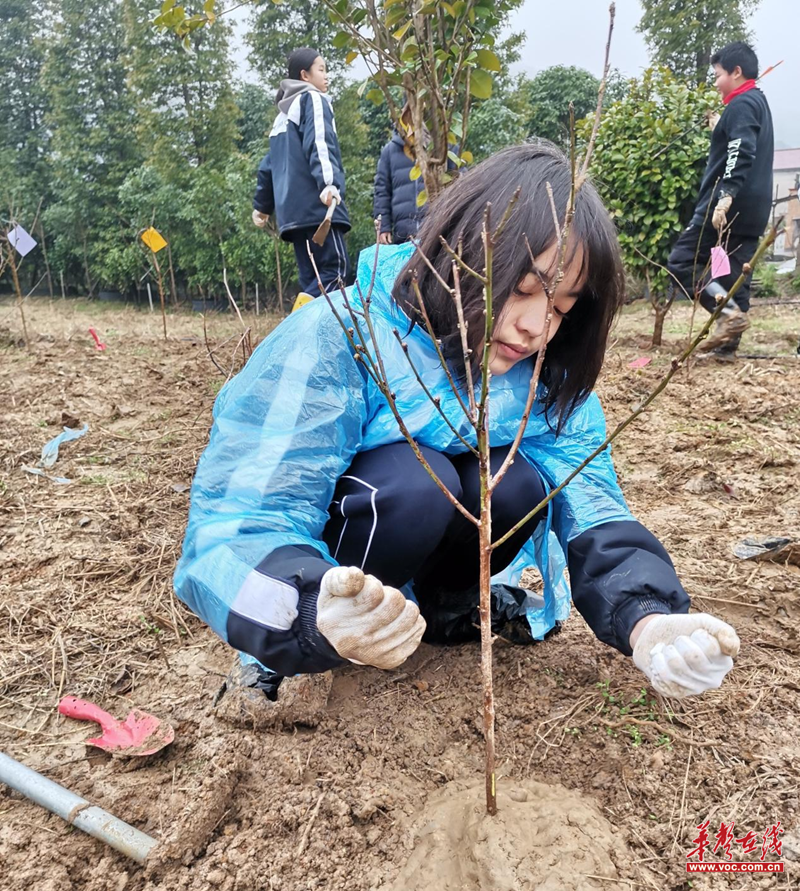 長沙市一中嶽麓中學:播種綠色 收穫文明