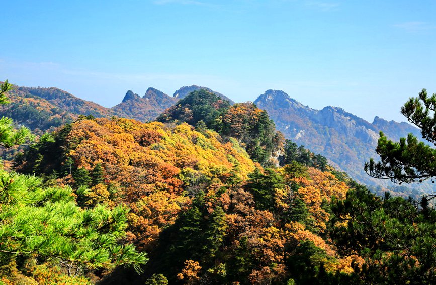 宝天曼景区图片图片