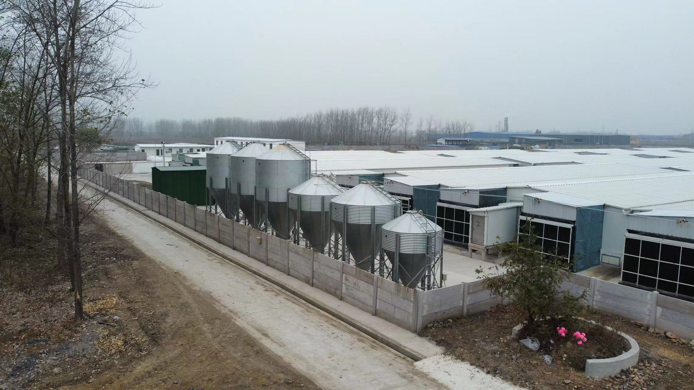 镀锌料塔:一步到位解决饲料储存难题