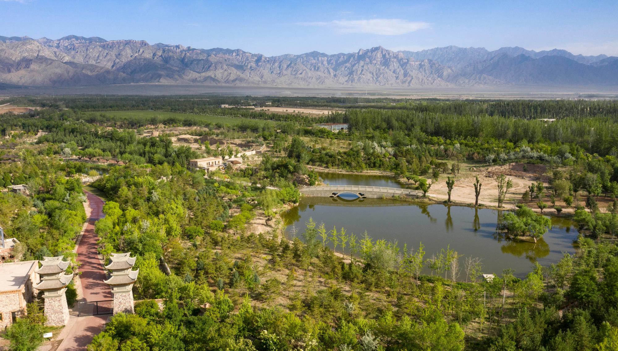 (新华视界)矿坑变公园 贺兰山下新风景