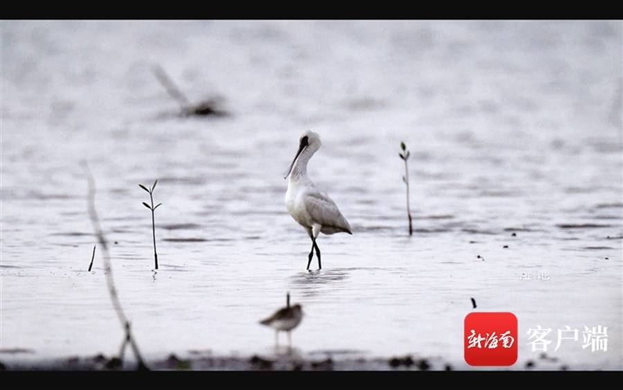 《秘境寻踪》第二季第八集:海与岸