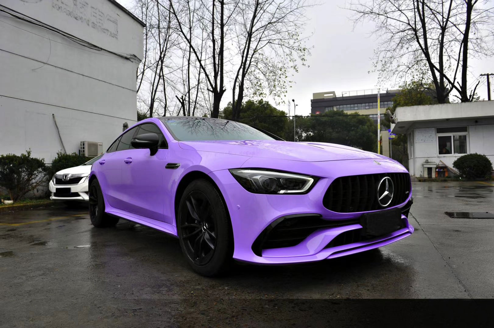 奔驰紫色车型都有哪些