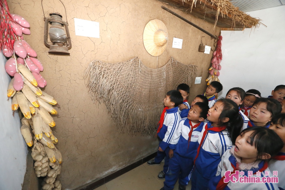 小学生走进美丽乡村村史馆 感受家乡发展变迁