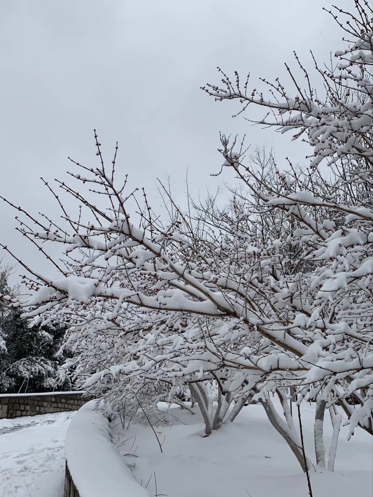 美景山东|济南洪山公园:兼具园林山景的市民后花园