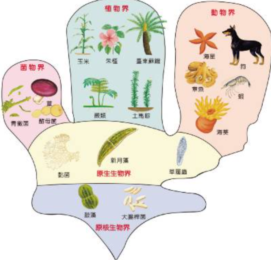 违背生命规律的生物有哪些?你听说过,跳出三界外的"太岁"吗?