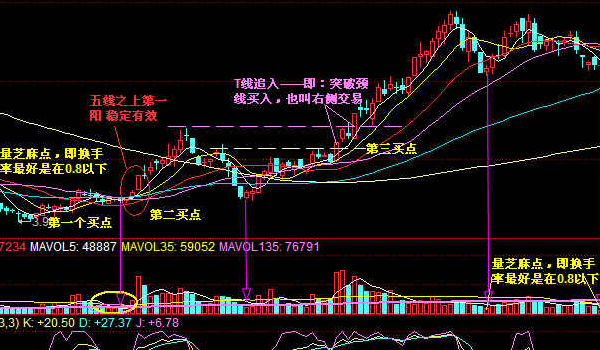 怎么炒股票新手入门(怎么炒股票新手入门,放多少钱)
