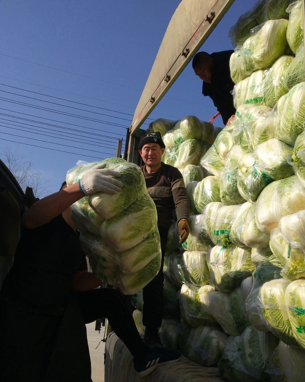 助力战疫!淄博市民捐赠西安10吨爱心大白菜