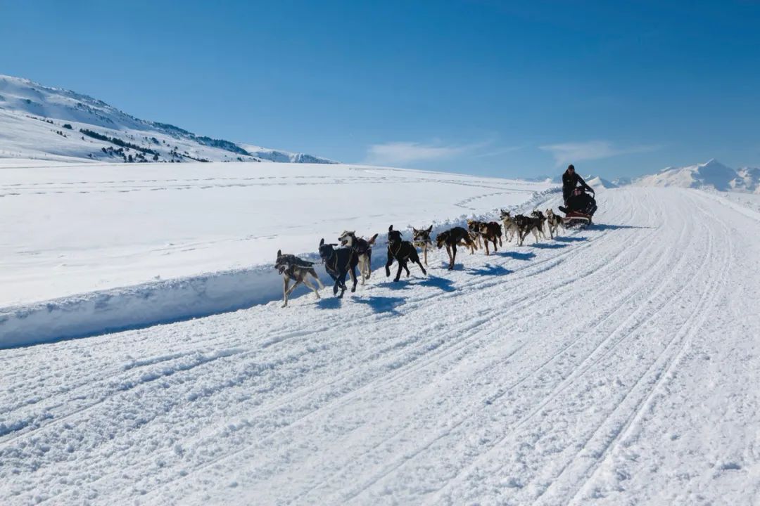 比利牛斯山滑雪图片