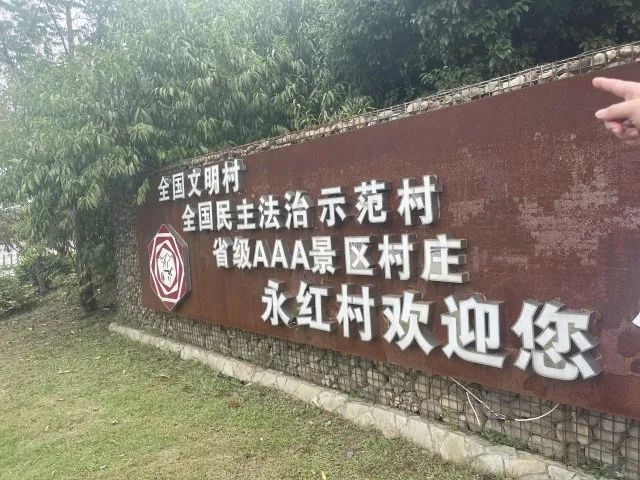 凤桥镇永红村图片