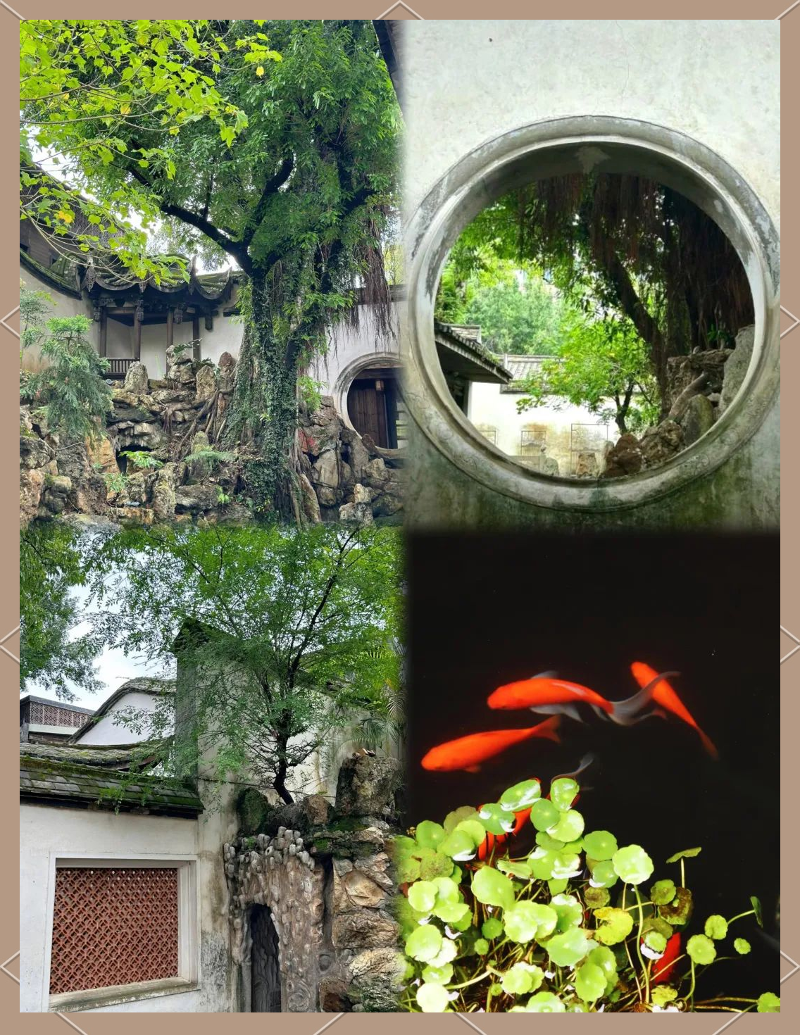 福州藏宝地:探访朱紫坊芙蓉园的多样美景与丰富历史