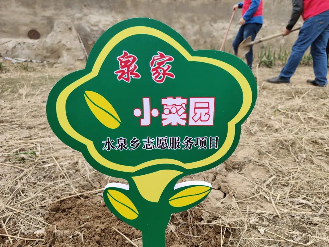 【文明实践在行动】"泉家小菜园"种下"暖心菜"