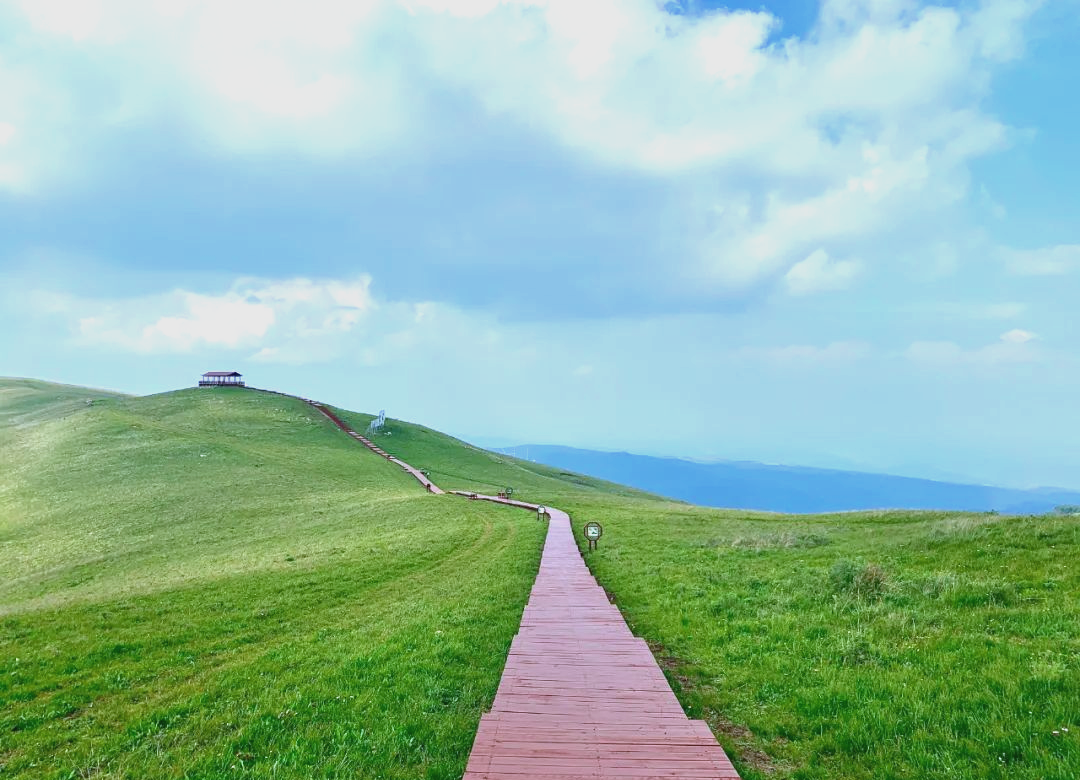 沁源花坡:体验草原风光,感受自然魅力