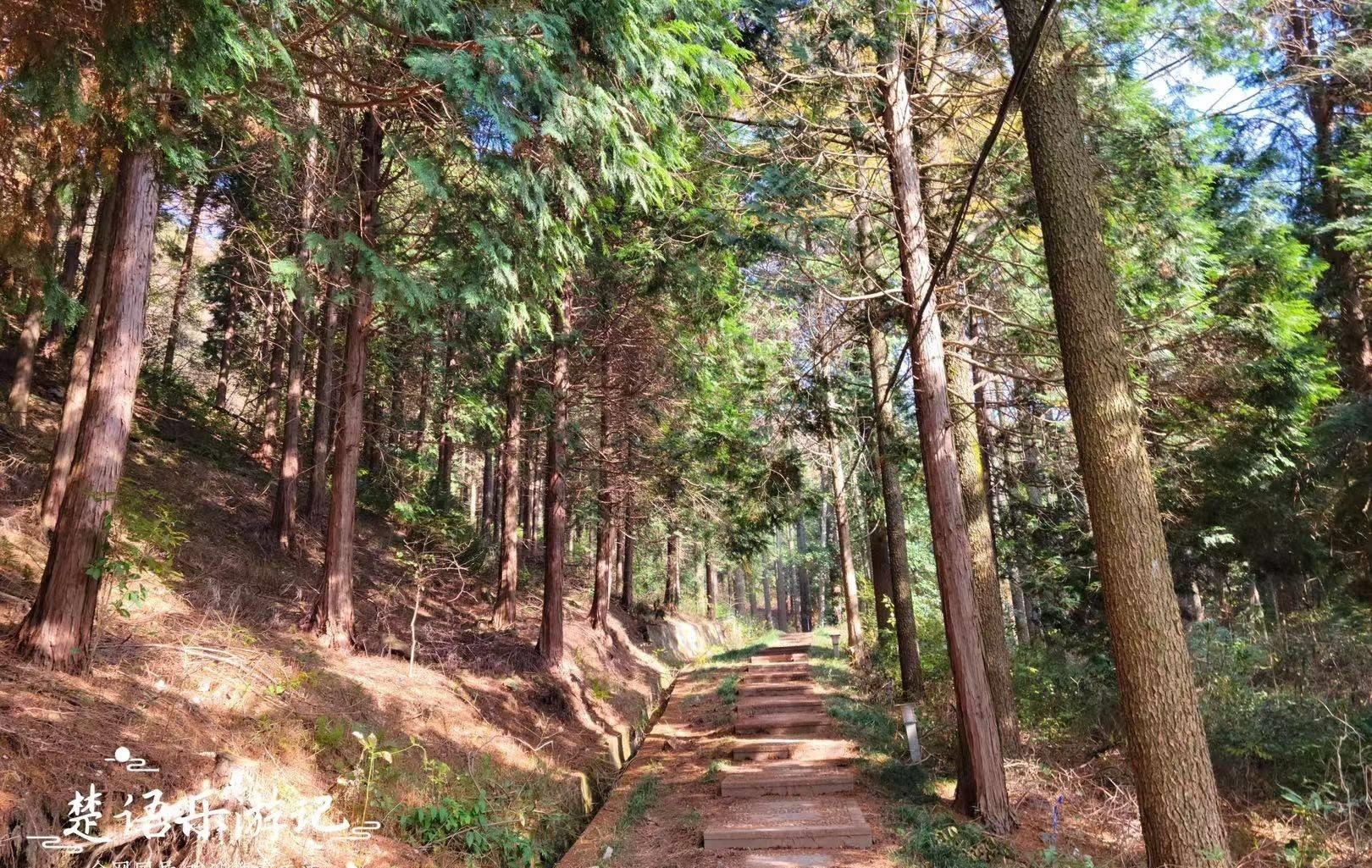 四明山仰天湖海拔图片