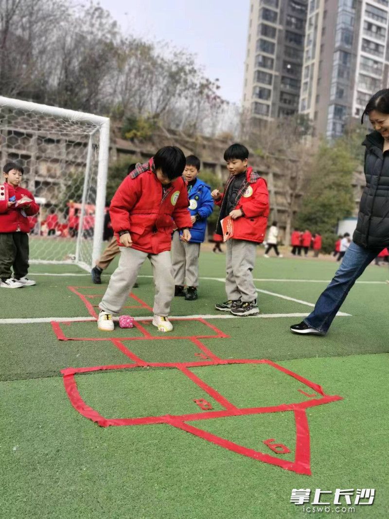 枫树山东南海小学简介图片