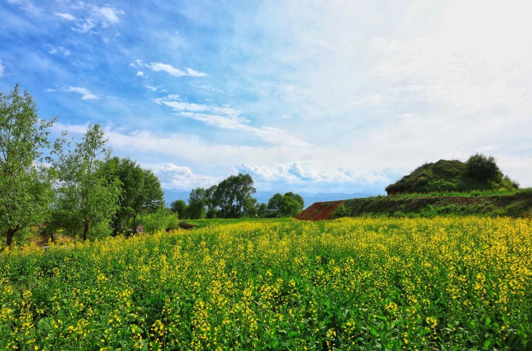 临夏州广河县官坊:赛马会上的"速度与激情"