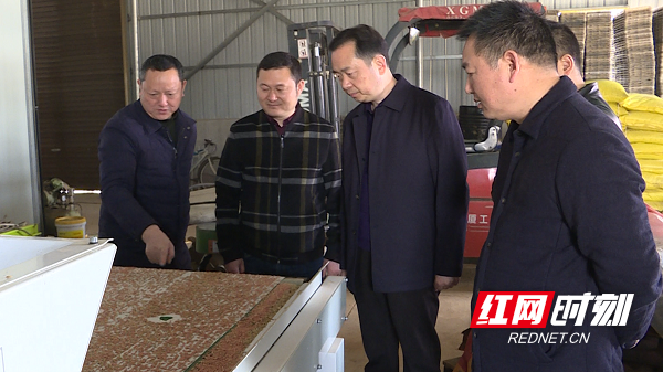 安乡:刘德平调研春耕备耕工作