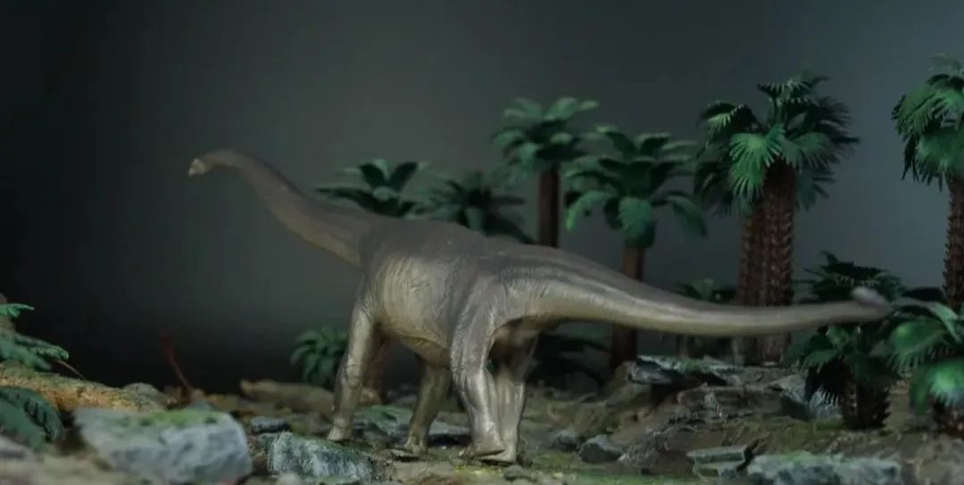 pnso博物馆系列新老马门溪龙