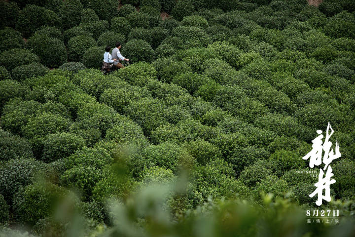 浙产电影又一精品力作,电影《龙井》本周五上映