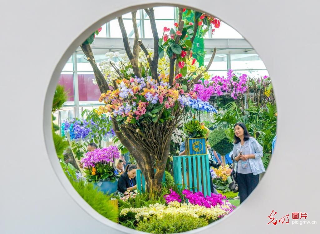 江苏宿迁第十届沭阳花木节开幕