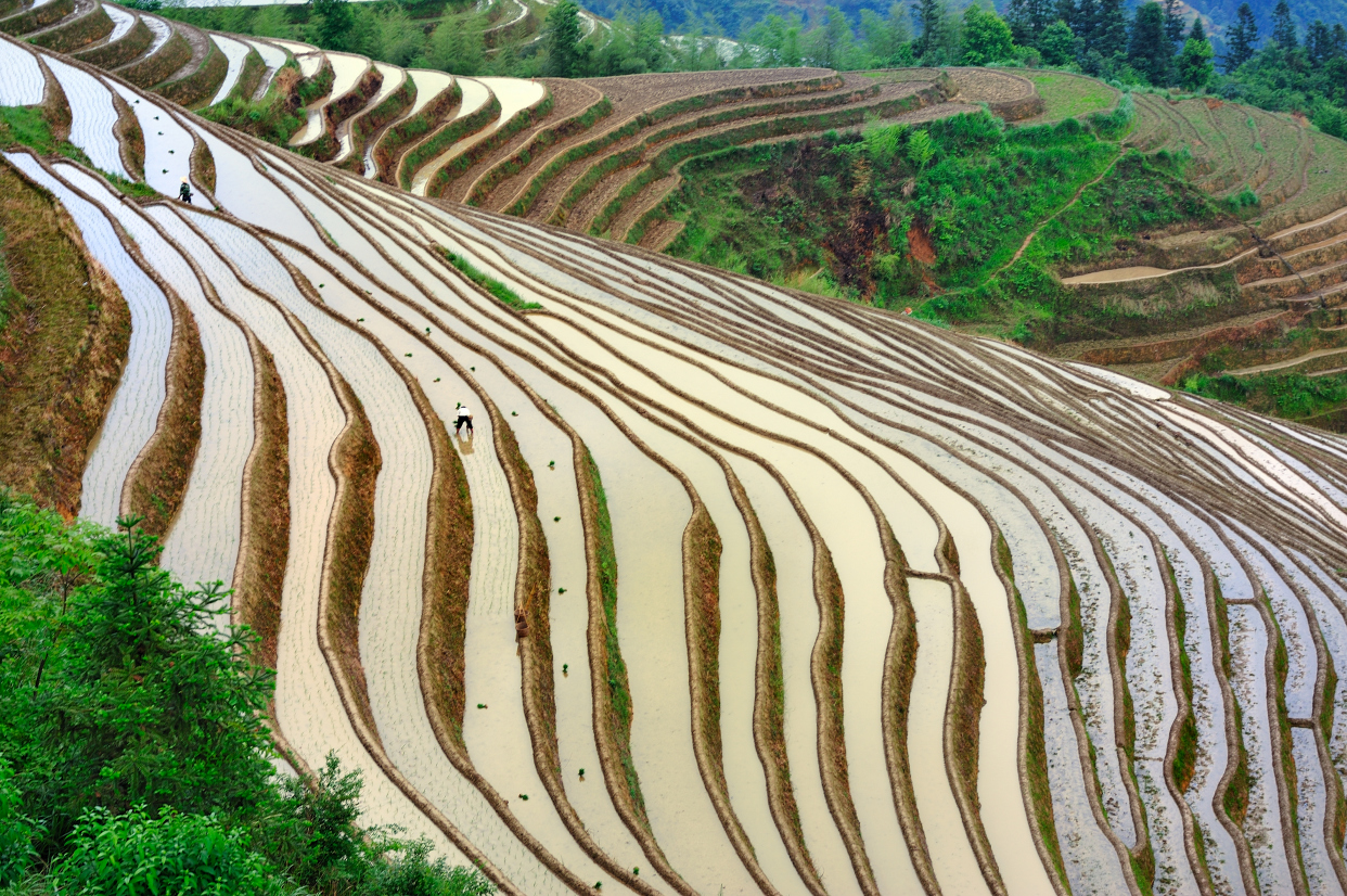 再造4亿亩良田!农田宜机化改造破解丘陵山区农机化难题
