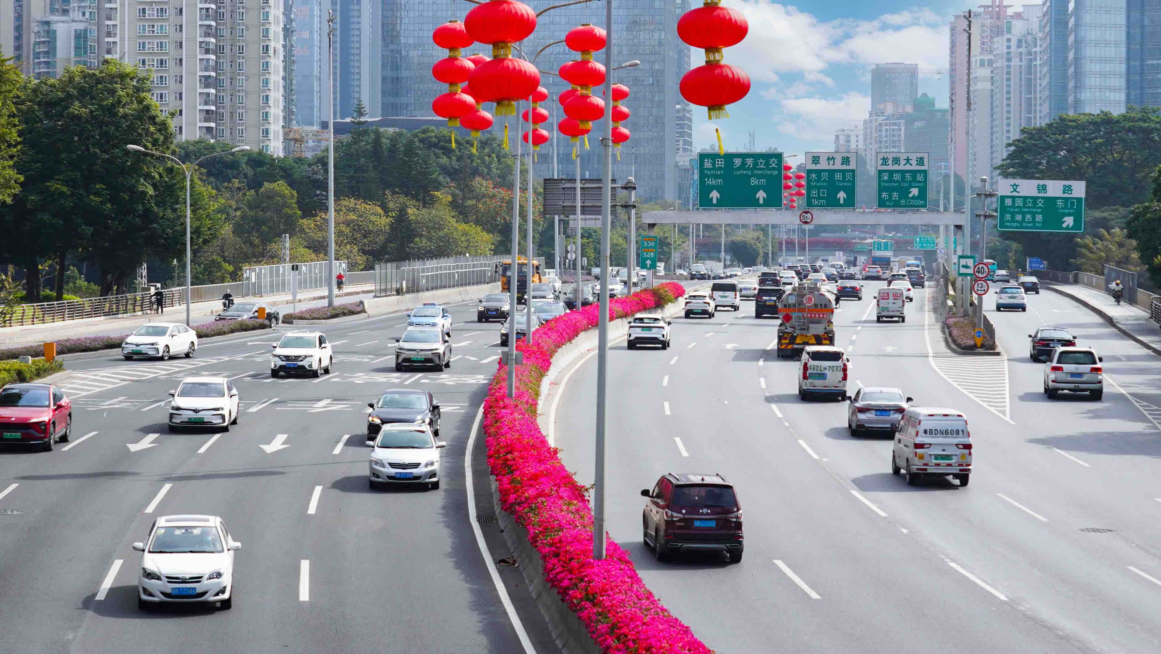 罗湖高颜值道路美不胜收!布心路—泥岗路簕杜鹃花带成春光大道