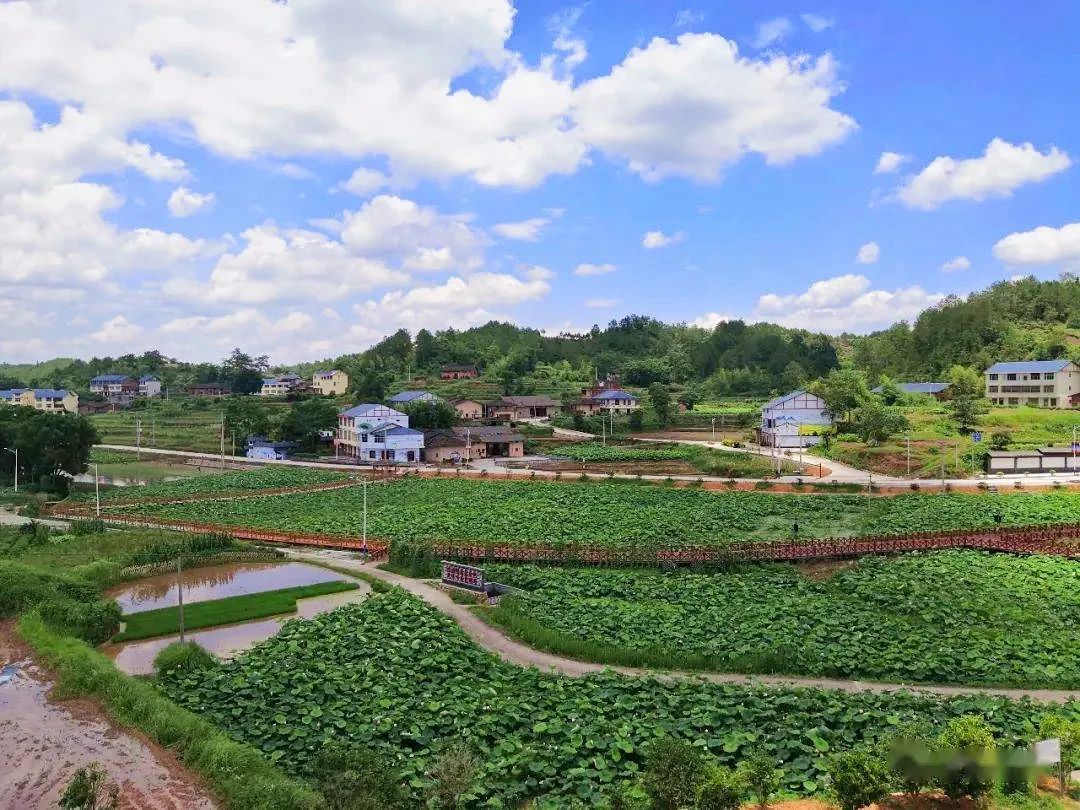 团结的力量 振兴的旋律——福建省宁化县淮土镇团结村的美丽"蝶变"