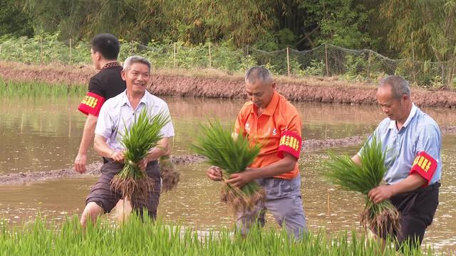 蓬安徐家镇油气勘探图片