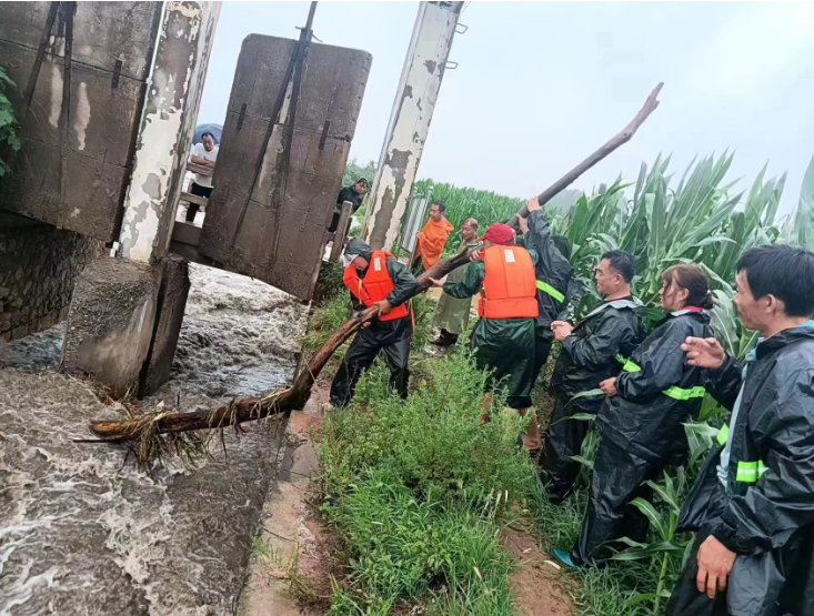 安阳县:筑牢防汛"红色堤坝",驻村第一书记在行动