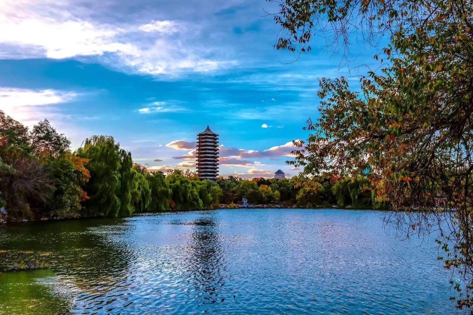 李磊老师详细讲解北京大学强基计划培养方案(物理学类)