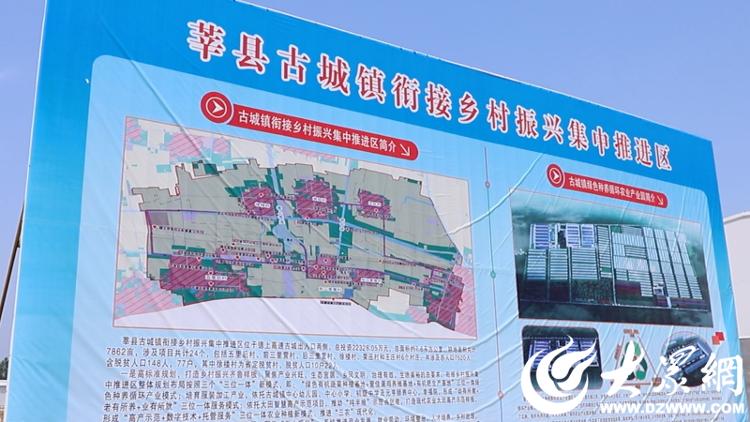 乡村振兴看聊城|莘县古城镇乡村振兴怎么做?谜底已揭晓!