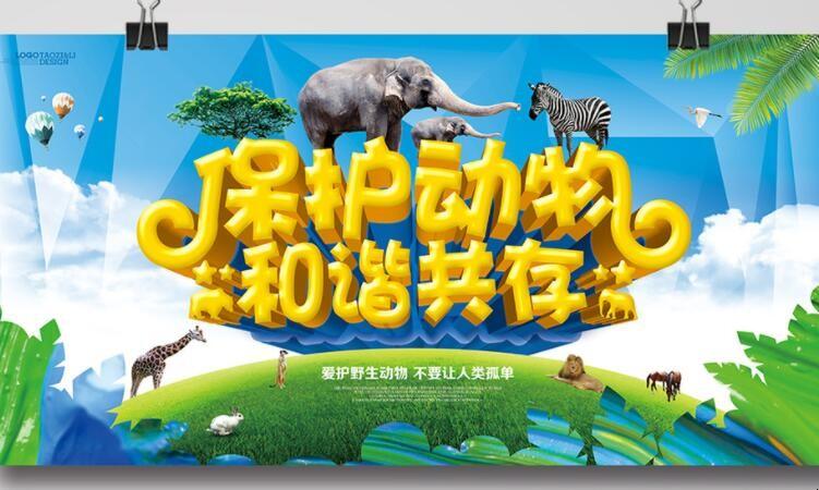 關注安慰護生法-動物保護法徵求意見,為保護動物權益獻上一份力