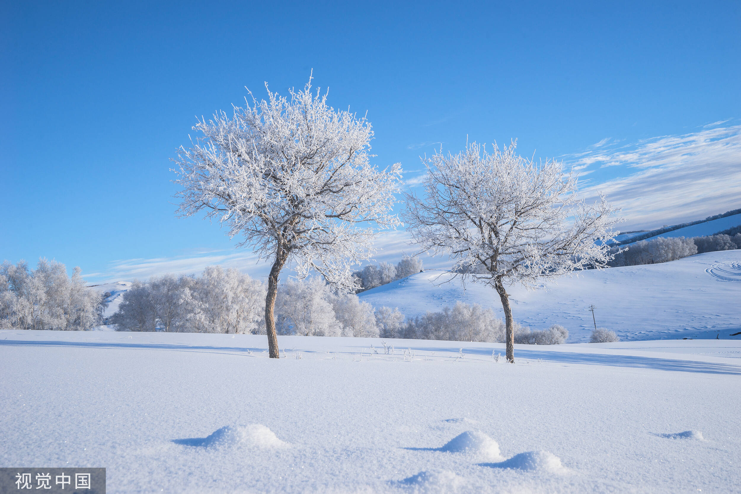 图片雪图片