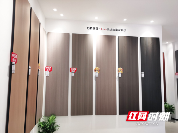 全城精英汇聚 万象天冠高端板材·定制体验店东岸旗舰店开业