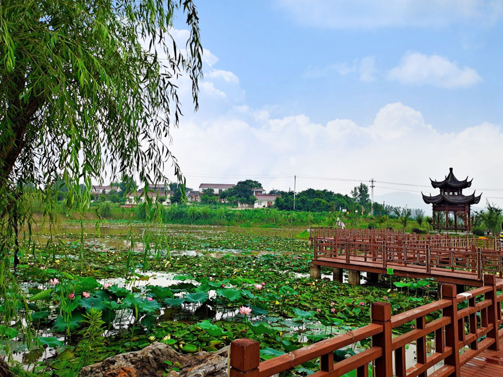 巢湖市尖山寺村:園中有村,村在園中,人在畫中的和美鄉村