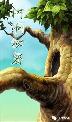 我想有个情感树洞,倾听我的喜怒哀乐